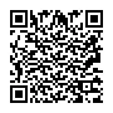 QR Code pour le numéro de téléphone +2693133801