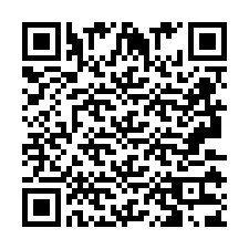 QR Code pour le numéro de téléphone +2693133805