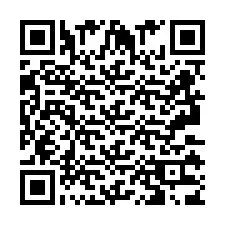 QR Code pour le numéro de téléphone +2693133810