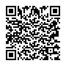 QR Code pour le numéro de téléphone +2693133812