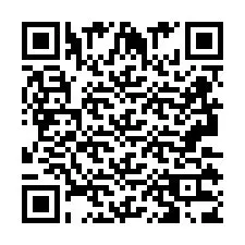 Codice QR per il numero di telefono +2693133825