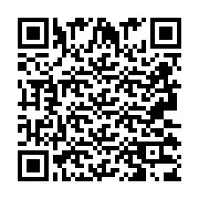 QR Code pour le numéro de téléphone +2693133833