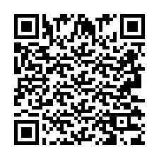 QR Code pour le numéro de téléphone +2693133836