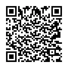 QR Code pour le numéro de téléphone +2693133838