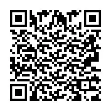 QR Code pour le numéro de téléphone +2693133843