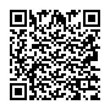 QR-code voor telefoonnummer +2693133866