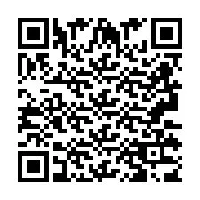 QR-koodi puhelinnumerolle +2693133875