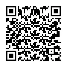 Kod QR dla numeru telefonu +2693133888