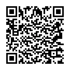 QR Code pour le numéro de téléphone +2693133889