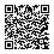 Codice QR per il numero di telefono +2693134041