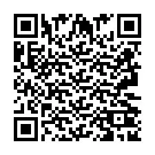 QR-код для номера телефона +2693202938