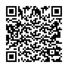 QR Code pour le numéro de téléphone +2693203146