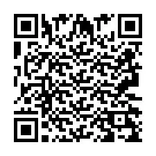 QR Code pour le numéro de téléphone +2693229519