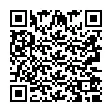 Codice QR per il numero di telefono +2693250998