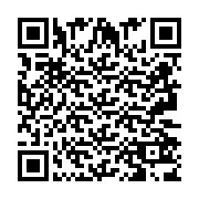 QR Code pour le numéro de téléphone +2693253868