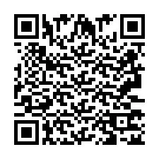 QR Code pour le numéro de téléphone +2693372539