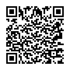 QR Code pour le numéro de téléphone +2693373844