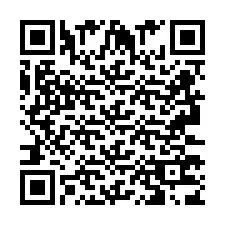 QR код за телефонен номер +2693373866