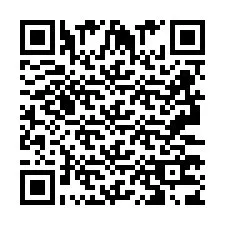 QR-Code für Telefonnummer +2693373869