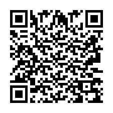 QR-код для номера телефона +2693379038