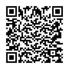 QR-Code für Telefonnummer +2693379539