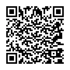 Codice QR per il numero di telefono +2693380009