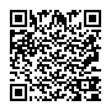 QR Code pour le numéro de téléphone +2693380041