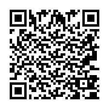 QR Code for Phone number +2693380053