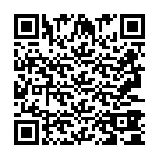 Codice QR per il numero di telefono +2693380089