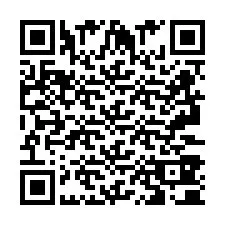 QR Code pour le numéro de téléphone +2693380098