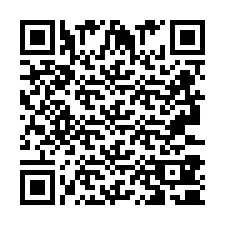 Codice QR per il numero di telefono +2693380113