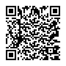 QR код за телефонен номер +2693380119