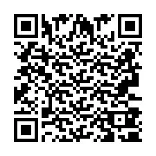 QR-Code für Telefonnummer +2693380127