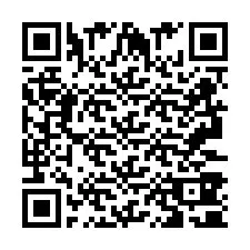 QR-code voor telefoonnummer +2693380199