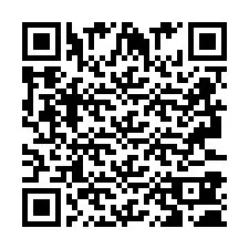 QR Code pour le numéro de téléphone +2693380202