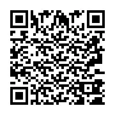 QR Code pour le numéro de téléphone +2693380210