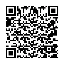 Kod QR dla numeru telefonu +2693380214