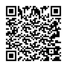 QR Code pour le numéro de téléphone +2693380234