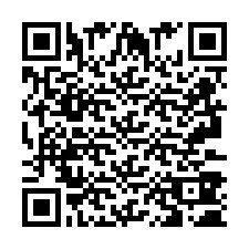 QR-code voor telefoonnummer +2693380294