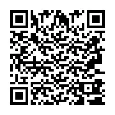 QR-code voor telefoonnummer +2693380313