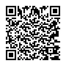 QR-code voor telefoonnummer +2693380322