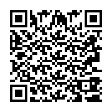 QR-code voor telefoonnummer +2693380382