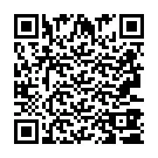 QR-code voor telefoonnummer +2693380387