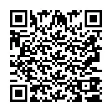 QR-code voor telefoonnummer +2693380389