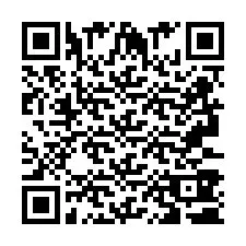 QR-code voor telefoonnummer +2693380393