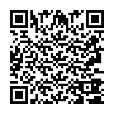 QR-code voor telefoonnummer +2693380394