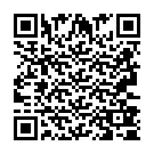 QR Code pour le numéro de téléphone +2693380573