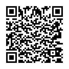 QR-Code für Telefonnummer +2693380598