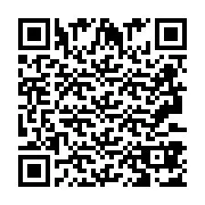 QR Code pour le numéro de téléphone +2693387041