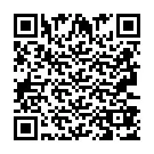 Codice QR per il numero di telefono +2693387063